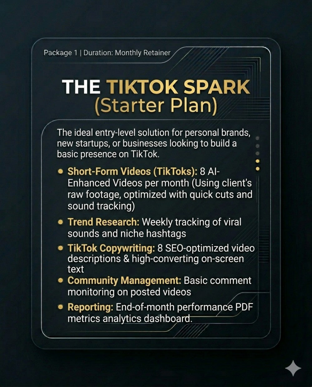 TIKTOK MANAGEMENT PACKAGE - THE TIKTOK SPARK (Starter Plan)